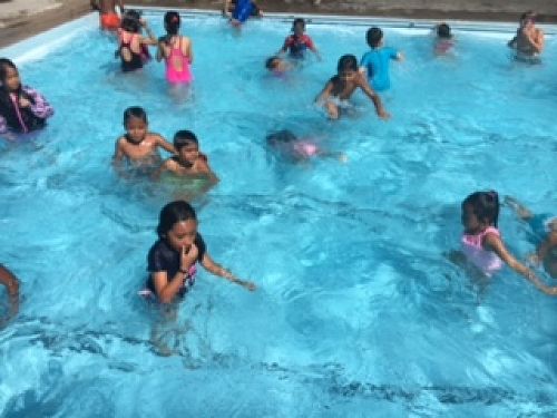 Team Harakeke's Shared Lunch