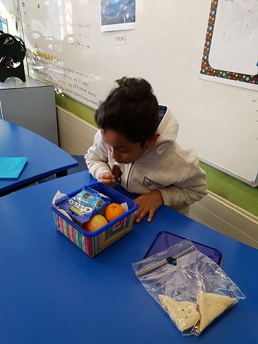 Villa Maria Lunches - 2018