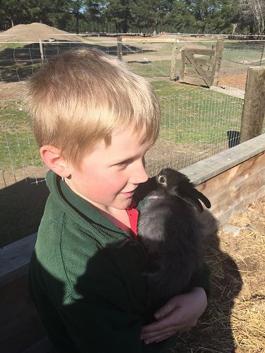 Bunny cuddles at Arion Park