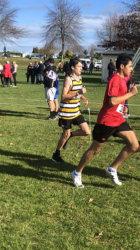 Cross Country Championships