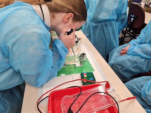 Year 8 Genetics Trip