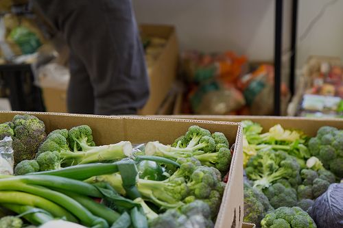 Produce at FoodShare Headquarters
