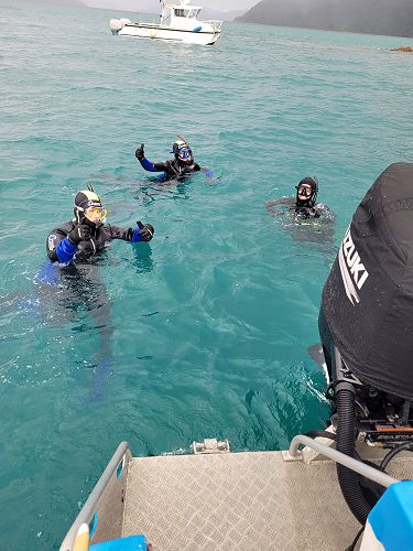 Learning to Dive 2023