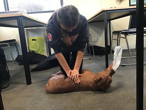 Dog CPR