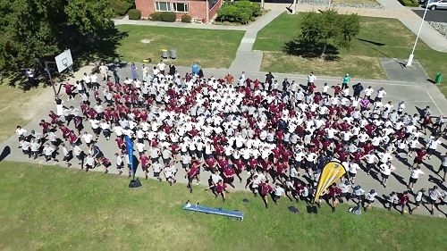 Video: House Haka comp 2024