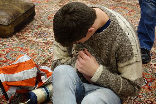 Cuddle Fix - 10 June 2018