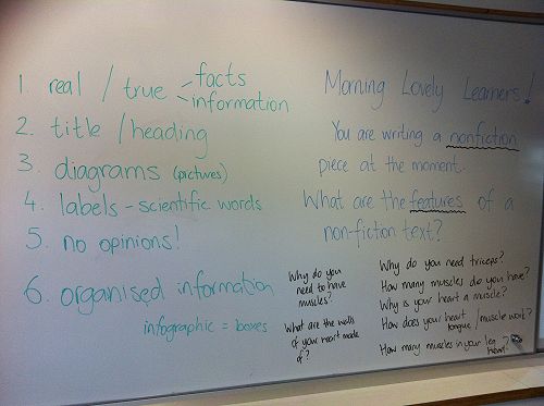 Harakeke - Non fiction Writing