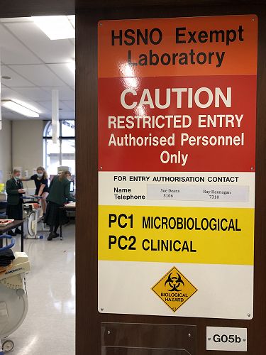 Students at work in the laboratories