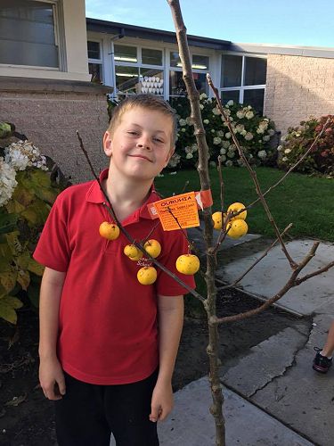 Thumbelina Golden Crunch