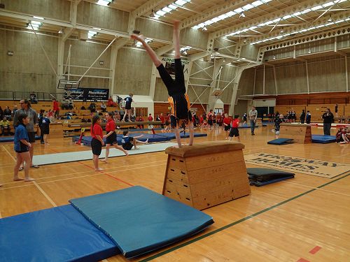 Gymnastics Festival 2016