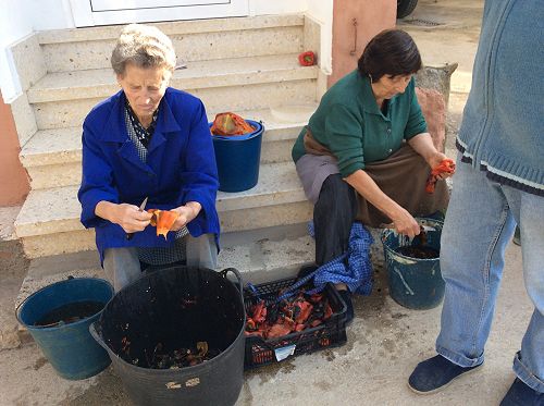 Day 18 Women peeling grilled capsicums at Valtuille de Arriba 