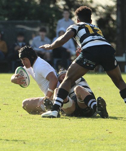 1st XV vs New Plymouth Boys' High School