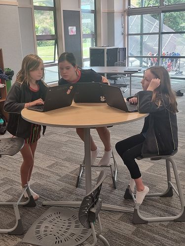 Small group research work about animals in Pōhutukawa