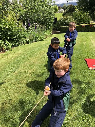 Tug of war - Linton, Ollie and Toby hard at work
