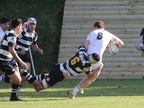 1st XV vs New Plymouth Boys' High School