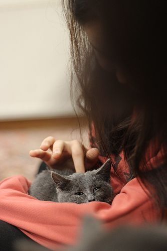 Cat Rescue Dunedin at St Margaret's College