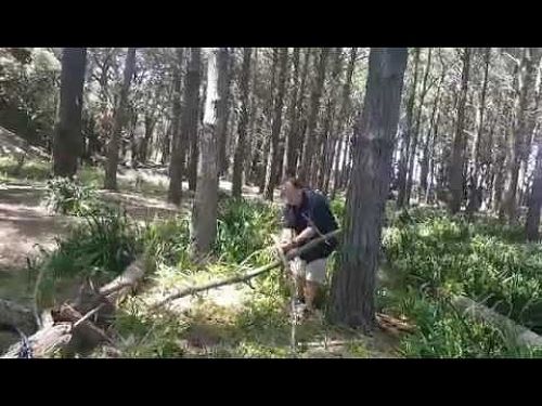 Video: Activities Week 1