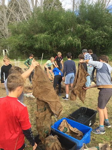 The Kapahaka boys played an important part in laying the hangi. 