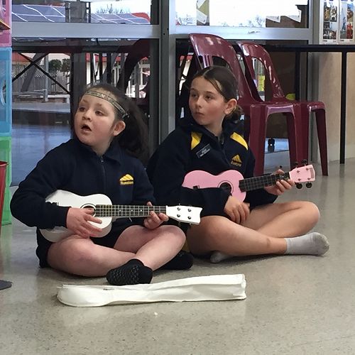 Video: Romy Takes on a Challenge