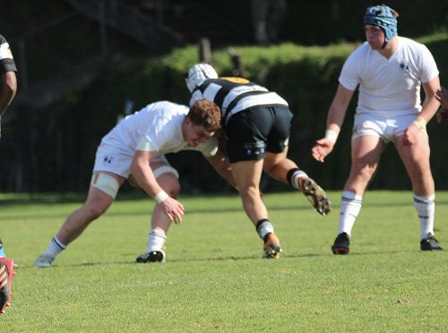 1st XV vs New Plymouth Boys' High School