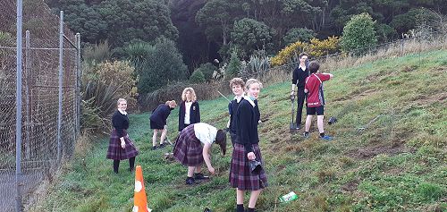 French classes planting trees