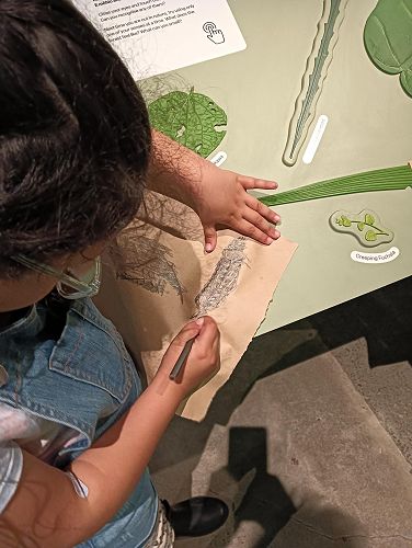 Fanny B Good exhibition