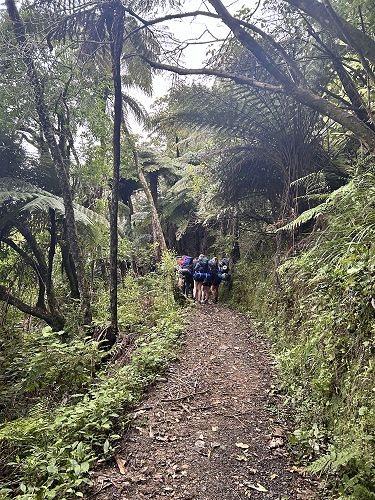 Walking the Link Pathway 2023
