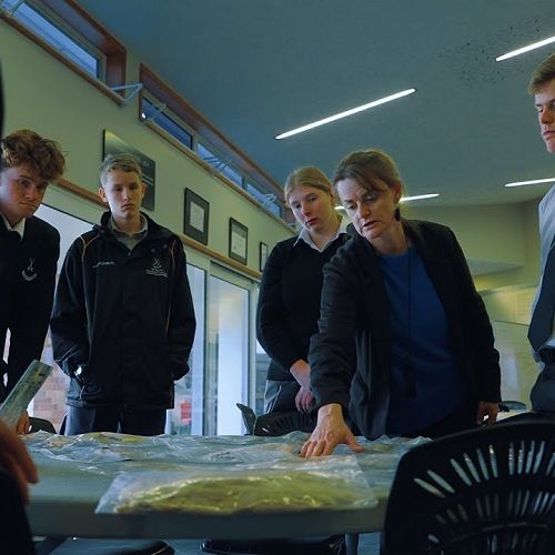 Video: Growing Farming Talent in NZ Schools | On Farm Story