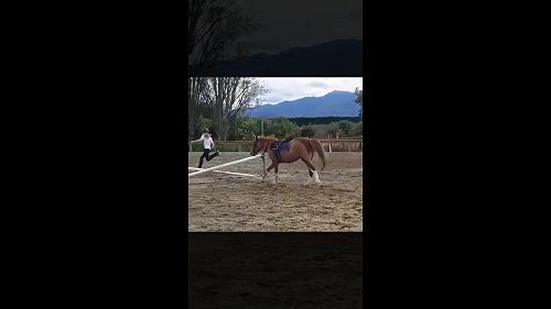 Video: Celia and Cracker