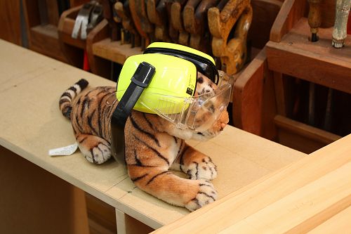 Technology Tiger