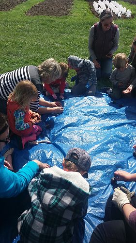 Groups and clubs are welcome to visit the garden t