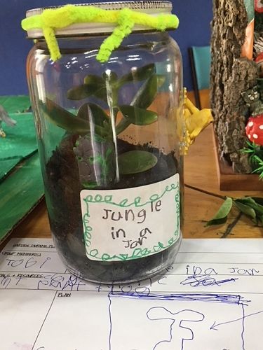 "Jungle in a Jar" - By Tobi