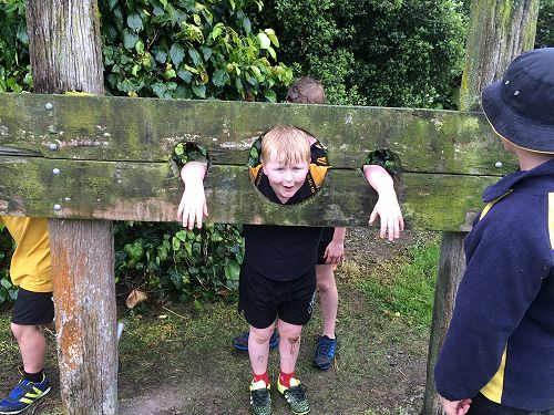 Daniel in the stocks.
