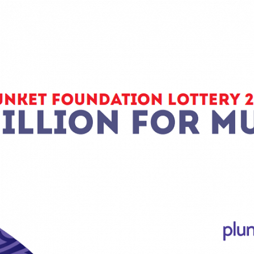 Plunket Foundation