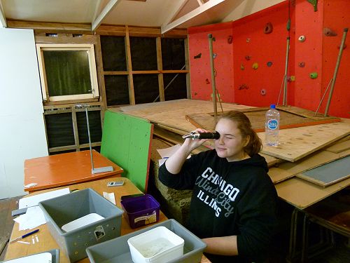 Year 13 Biology Field Trip to Wainui 2019