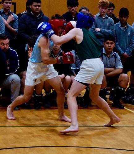 PNBHS Senior Boxing Championships