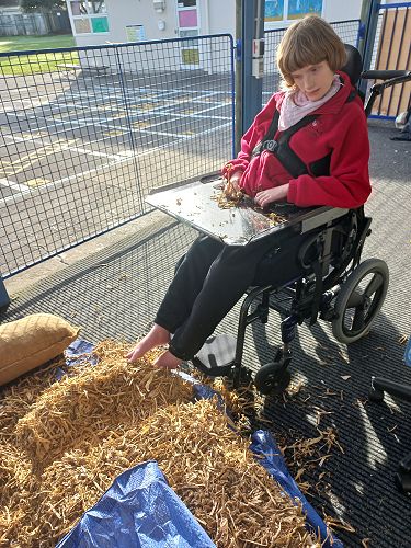 Charlotte really enjoyed feeling the pea straw we used to make Charlie. 
