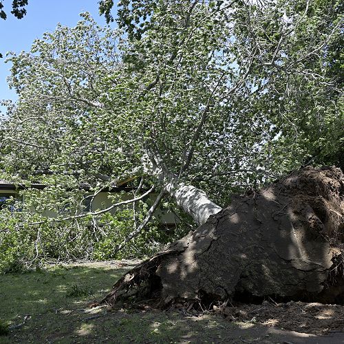 Sargood boarding house