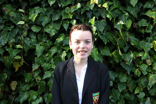 Model United Nations Delegates