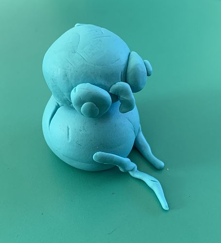 NZSL Hub Bird playdough