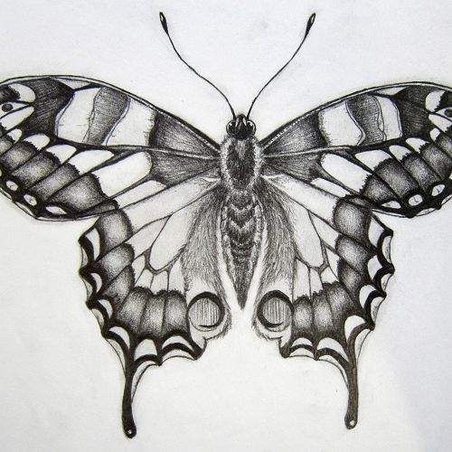 Ben McQueen-Davies - 12PW