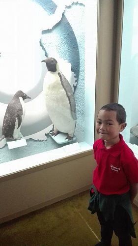 Team Awa's Visit to the Art Gallery and Museum