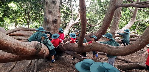 Awa's Trip to the Canterbury Museum