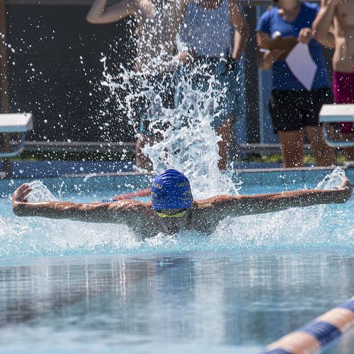 Toby Taylor competing in the Junior Boys Championship butterfly