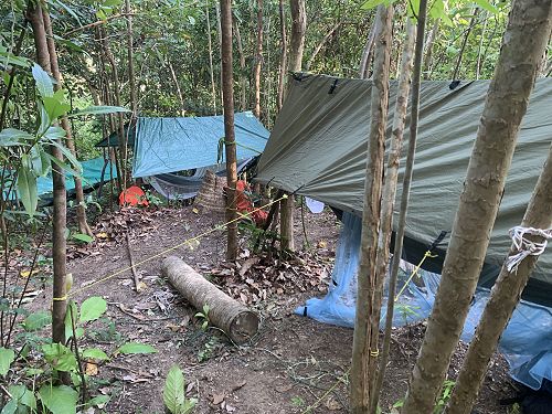 Jungle immersion accommodation