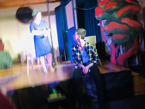 Pohutukawa drama performance September 2020