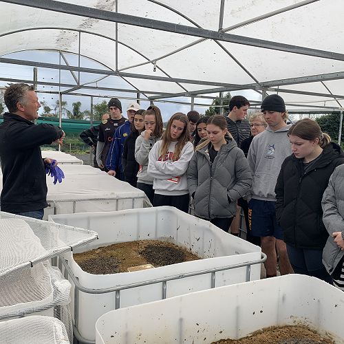 'Dung Beetle Innovations' breeding facility in Henderson, Auckland - we were hosted by environmental scientist and founder of the company, Dr. Shaun Forgie