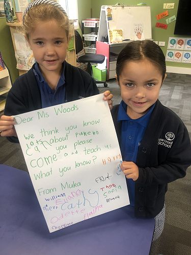 Harakeke Technology Problem