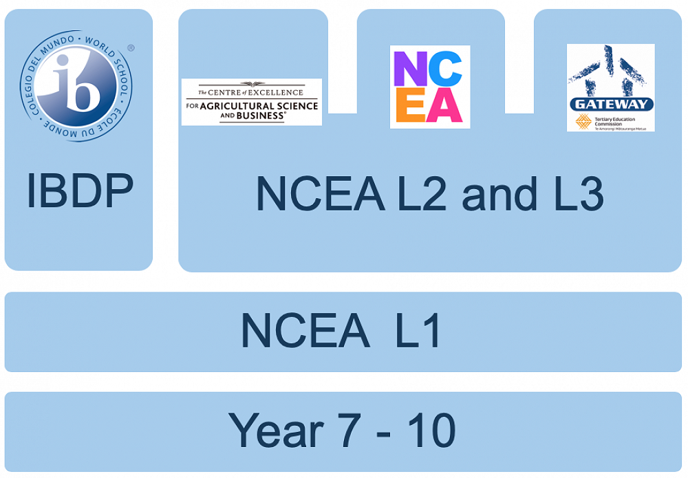 JMCPathways