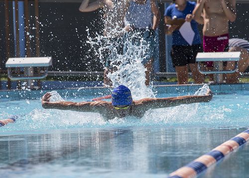 Toby Taylor competing in the Junior Boys Championship butterfly